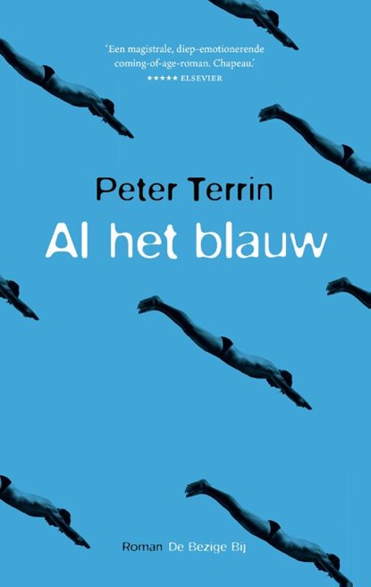 Al het blauw, Peter Terrin - Paperback - 9789403105321