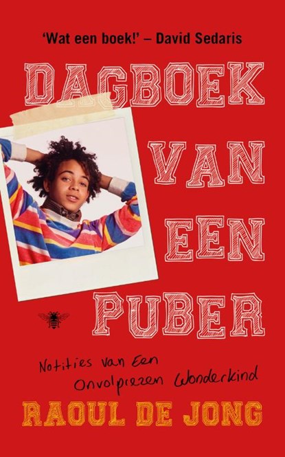 Dagboek van een puber, Raoul de Jong - Paperback - 9789403110905