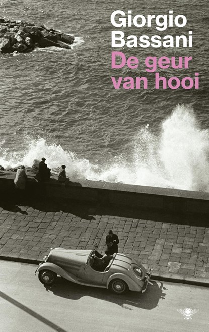 De geur van hooi, Giorgio Bassani - Ebook - 9789403113005