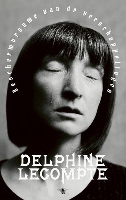 Beschermvrouwe van de verschoppelingen, Delphine Lecompte - Paperback - 9789403120812