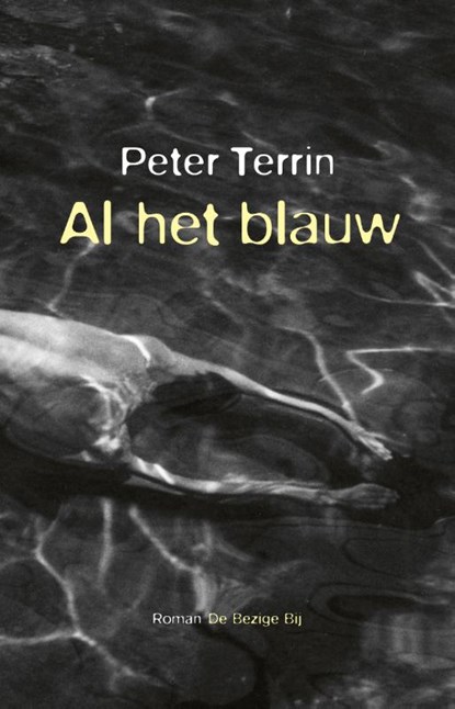 Al het blauw, Peter Terrin - Paperback - 9789403122717