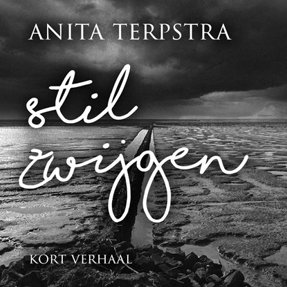 Stilzwijgen, Anita Terpstra - Luisterboek MP3 - 9789403126708