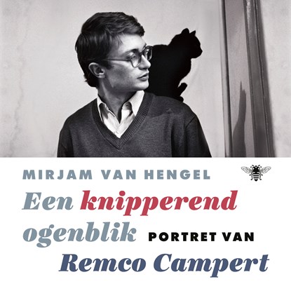 Een knipperend ogenblik, Mirjam van Hengel - Luisterboek MP3 - 9789403128733