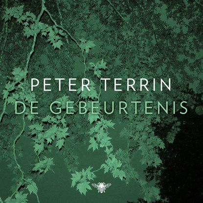 De gebeurtenis, Peter Terrin - Luisterboek MP3 - 9789403130064