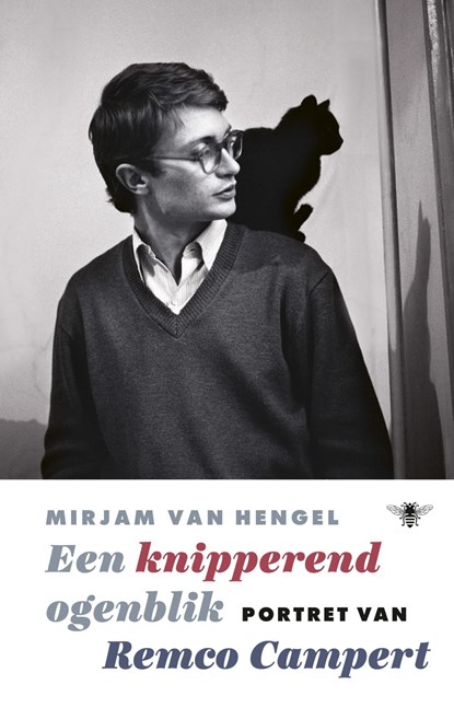 Een knipperend ogenblik, Mirjam van Hengel - Ebook - 9789403130200