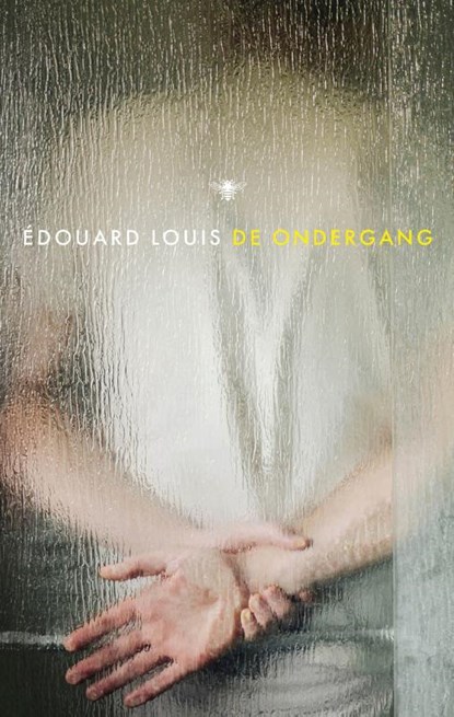 De ondergang, Édouard Louis - Paperback - 9789403134161