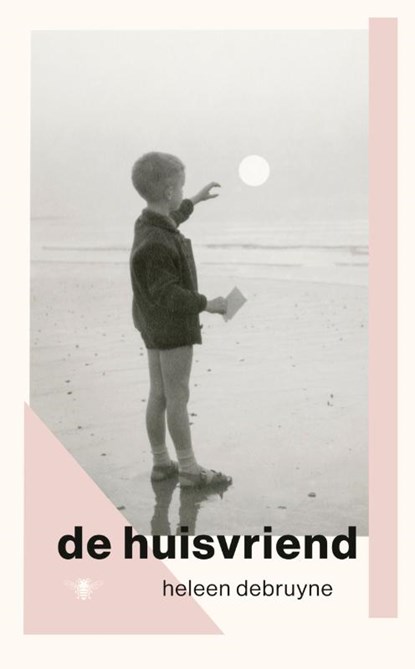De huisvriend, Heleen Debruyne - Paperback - 9789403134710