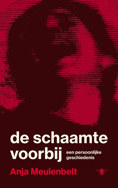 De schaamte voorbij, Anja Meulenbelt - Ebook - 9789403137322