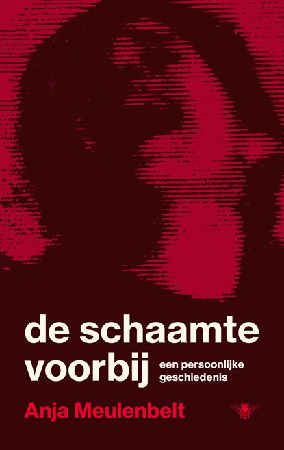 De schaamte voorbij, Anja Meulenbelt - Ebook - 9789403137322