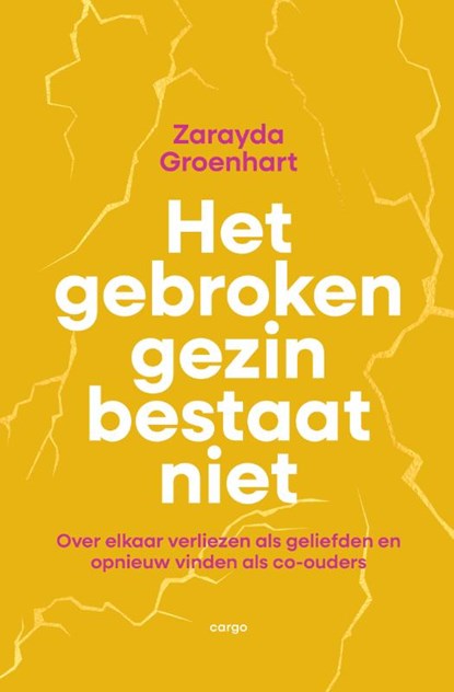 Het gebroken gezin bestaat niet, Zarayda Groenhart - Paperback - 9789403138121