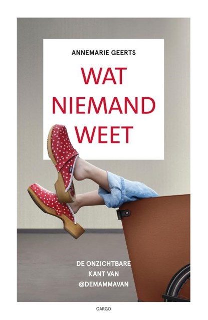 Wat niemand weet, Annemarie Geerts - Paperback - 9789403138138