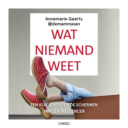 Wat niemand weet, Annemarie Geerts - Luisterboek MP3 - 9789403139326