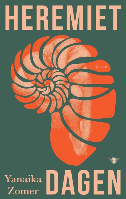 Heremietdagen, Yanaika Zomer - Ebook - 9789403139968