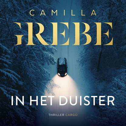 In het duister, Camilla Grebe - Luisterboek MP3 - 9789403140056