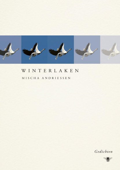 Winterlaken, Mischa Andriessen - Paperback - 9789403143903