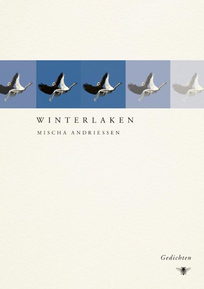 Winterlaken, Mischa Andriessen - Paperback - 9789403143903