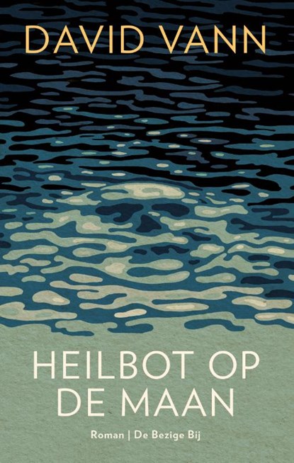 Heilbot op de maan, David Vann - Paperback - 9789403147703