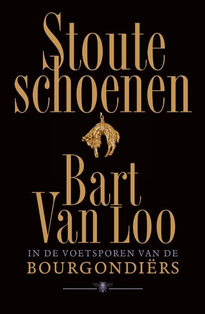 Stoute schoenen, Bart van Loo - Gebonden - 9789403147918