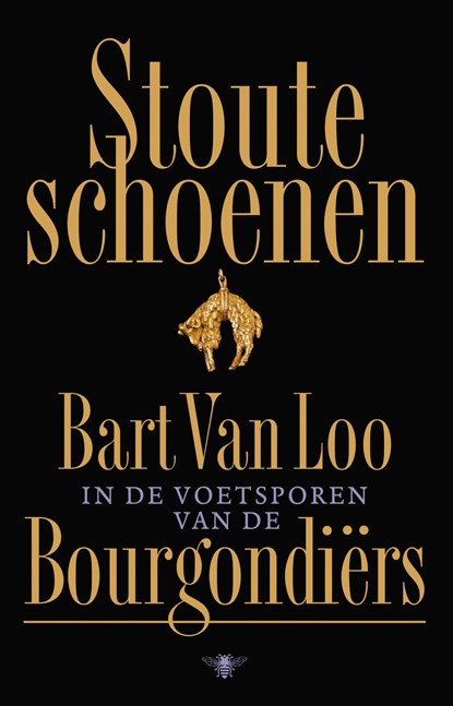 Stoute schoenen, Bart van Loo - Gebonden - 9789403147918