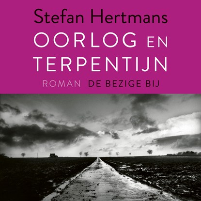 Oorlog en terpentijn, Stefan Hertmans - Luisterboek MP3 - 9789403151908
