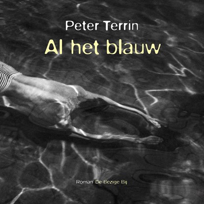 Al het blauw, Peter Terrin - Luisterboek MP3 - 9789403151915