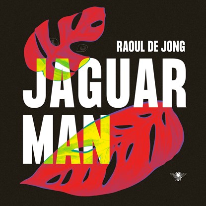 Jaguarman, Raoul de Jong - Luisterboek MP3 - 9789403152011