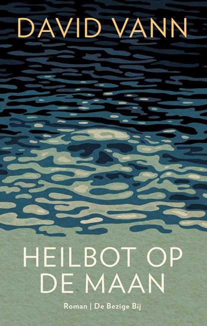 Heilbot op de maan, David Vann - Ebook - 9789403154008