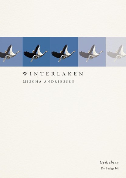 Winterlaken, Mischa Andriessen - Ebook - 9789403154206