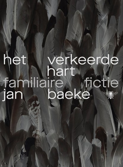 Het verkeerde hart, Jan Baeke - Paperback - 9789403154718