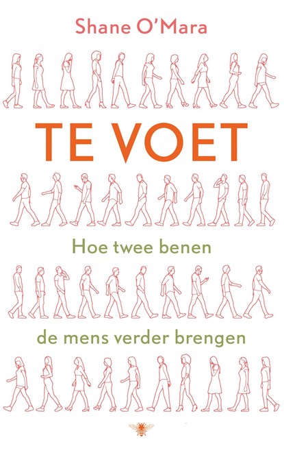 Te voet, Shane O'Mara - Ebook - 9789403155708