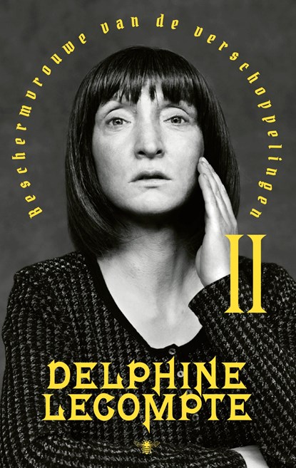 Beschermvrouwe van de verschoppelingen / 2, Delphine Lecompte - Ebook - 9789403159119