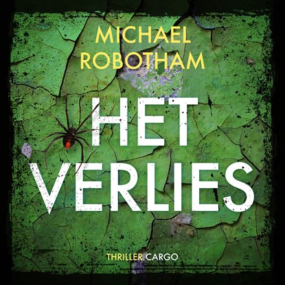 Het verlies, Michael Robotham - Luisterboek MP3 - 9789403167510