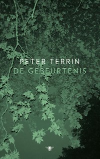 De gebeurtenis | Peter Terrin | 