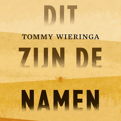 Dit zijn de namen, Tommy Wieringa - Luisterboek MP3 - 9789403195001