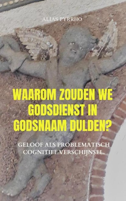 Waarom zouden we godsdienst in godsnaam dulden?, Alias Pyrrho - Paperback - 9789403600222