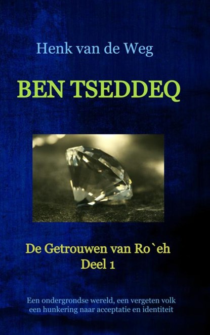 Ben Tseddeq, Henk van de Weg - Paperback - 9789403602653