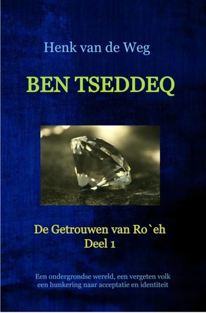 Ben Tseddeq, Henk van de Weg - Ebook - 9789403602660