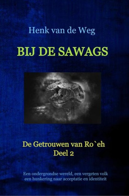 Bij de Sawags, Henk van de Weg - Ebook - 9789403604954