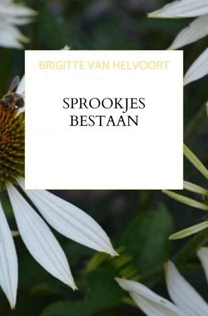 Sprookjes Bestaan, Brigitte van Helvoort - Paperback - 9789403605173