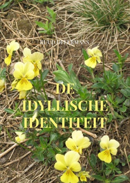 De idyllische identiteit, Ruud Offermans - Paperback - 9789403616391