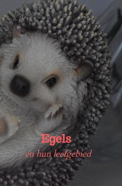 Egels, Syntyche Weening - Paperback - 9789403619507