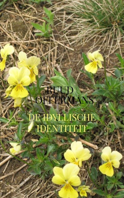 De idyllische identiteit, Ruud Offermans - Paperback - 9789403622323