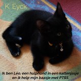 Ik ben Leo, een hulphond in een kattenjasje en ik help mijn baasje met PTSS - K. Eyck - 9789403626918