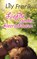 Liefde zonder kleerscheuren, Lily Frank - Paperback - 9789403634593