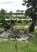 Op safari door het Krugerpark, Egon Berendsen - Paperback - 9789403646947
