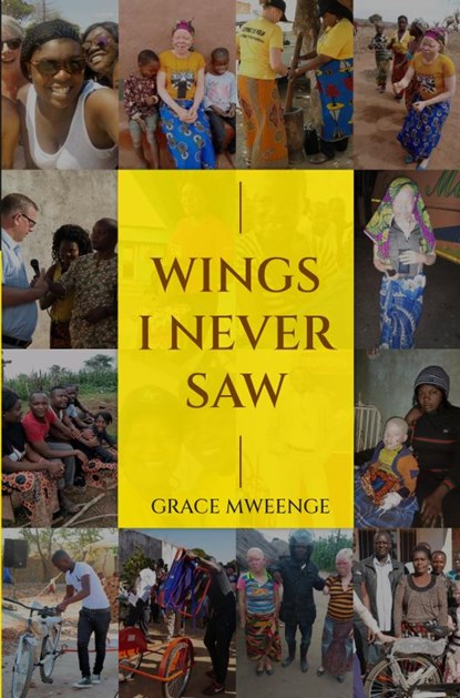 Wings I never saw, Grace Mweenge - Paperback - 9789403650845