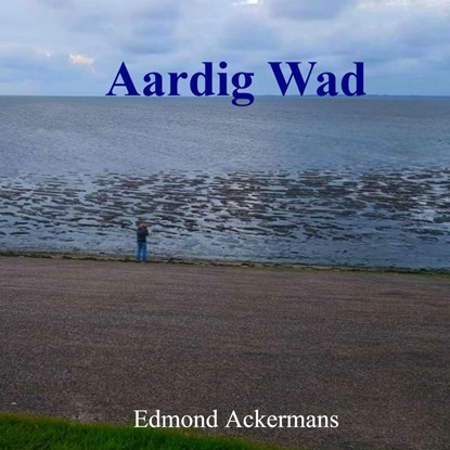 Aardig Wad, Edmond Ackermans - Gebonden - 9789403650937