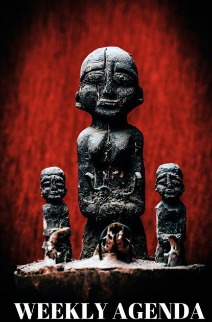 Vodun Agenda, Laucyna Bodaan - Gebonden - 9789403657851