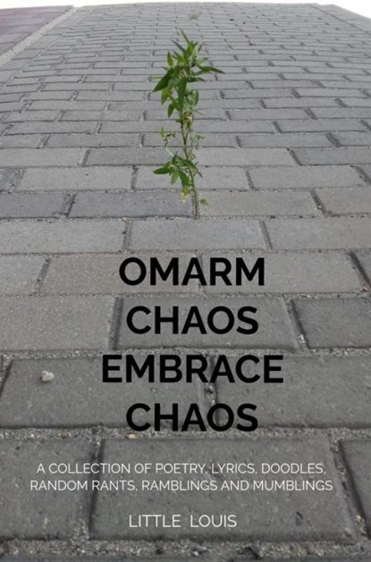 Omarm Chaos - Embrace Chaos, Little Louis - Paperback - 9789403658964