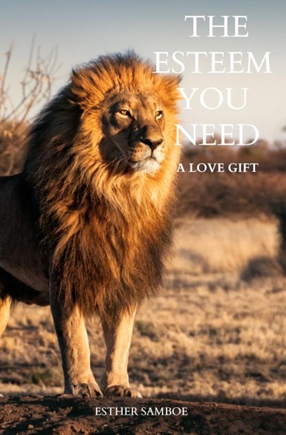The esteem you need, Esther Samboe - Paperback - 9789403662015